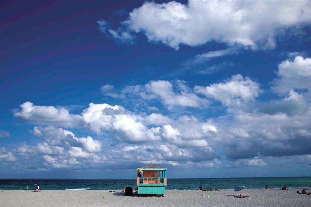 Hilton Grand Vacations Suites At South Beach Маями Бийч Природа снимка